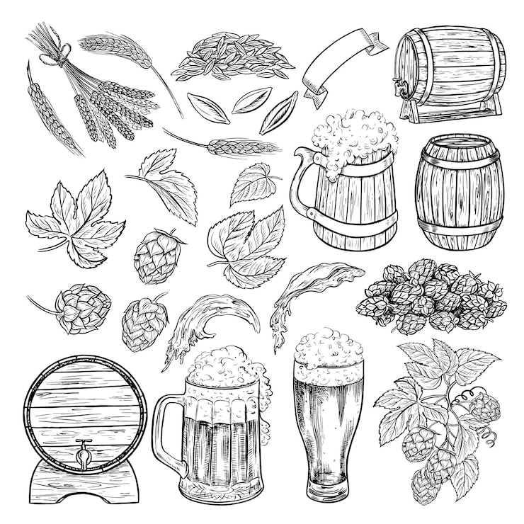 Vektör a set with beer elements wooden barrels and beer mugs malt and hops illustrations vector graphics