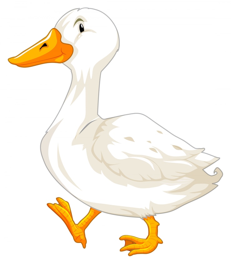 Vektör a white goose character