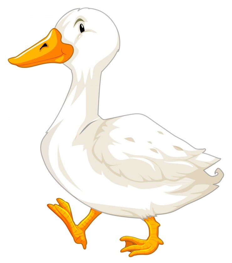 Vektor a white goose character