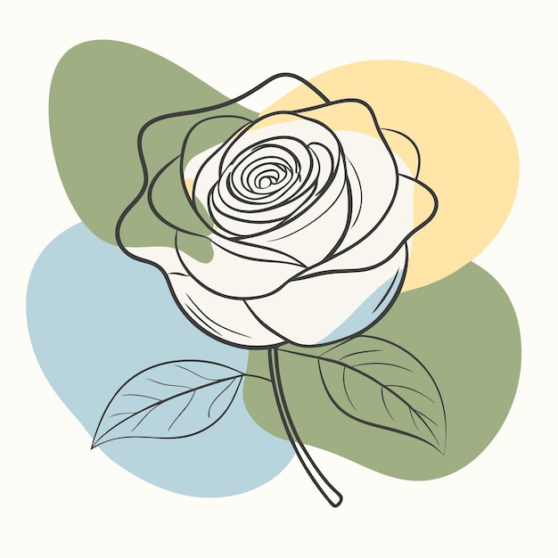 a white rose with green leaves and yellow and blue background