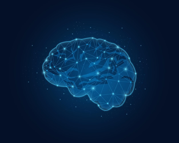 Abstract low poly brain Polygonal wireframe illustration of human brain Polygonal wireframe illustration with lines and dots Vector illustration