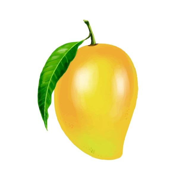 Abstract mango design isolated background