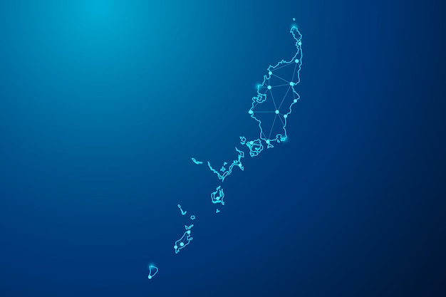 Abstract mash line and point with map of Palau polygonal network line vector.