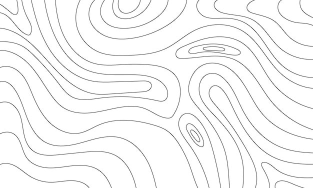abstract minimal topographic relief map background modern topography line map concept