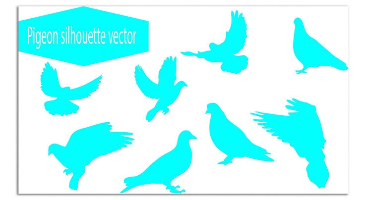 Vektör abstract vector design set