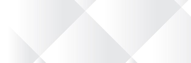 abstract white and grey Pattern banner and background or wallpaper vector design