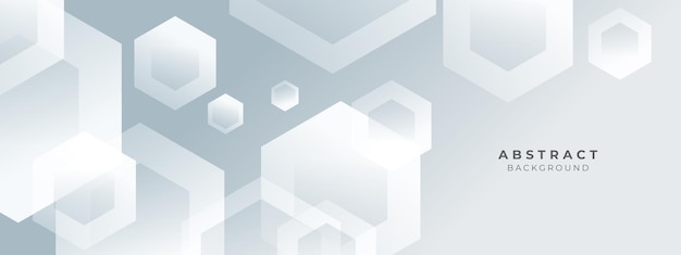 abstract white and light gray shape modern soft luxury texture with smooth and clean vector subtle background