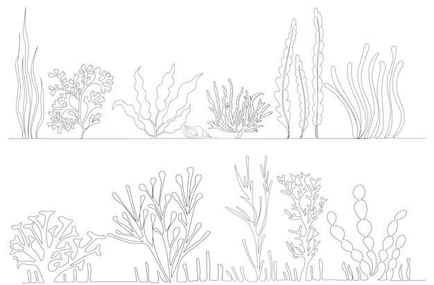 algae drawing in one continuous line isolated