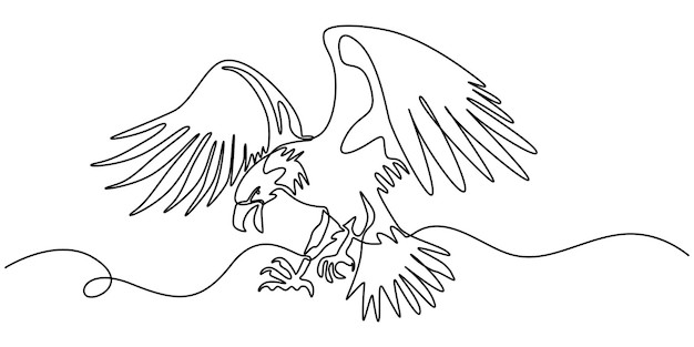 An eagle soars in the sky with its wings spread wide A large bird of prey flies in the air one