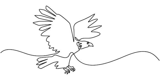 An eagle soars in the sky with its wings spread wide A large bird of prey flies in the air one