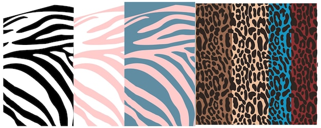 Animal Print Collection