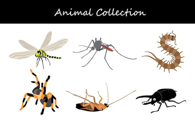 Animals collection Flat style vector illustration