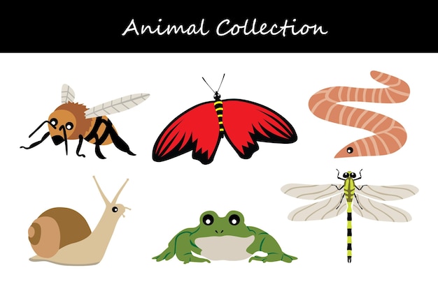 Animals collection Flat style vector illustration