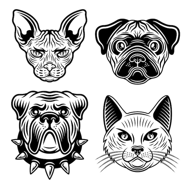animals set of vector objects in vintage black and white style bulldog and pug dog sphynx cat and domestic cat