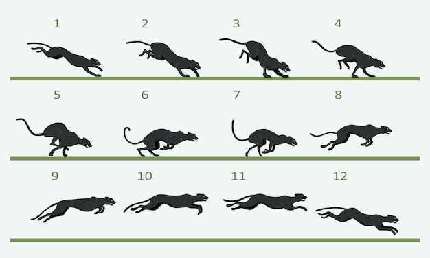 Animation cycle of a black panther. Predator run cycle. Twelve key frames.