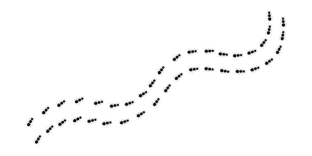 Ant path Black insect walking from trail Team ants Vector 10 Eps