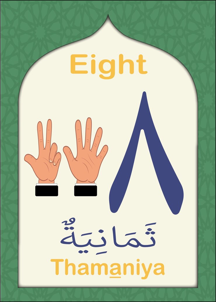 Vektör arabic numbers flashcards for kids islamic number 8 eight with arabic calligraphy