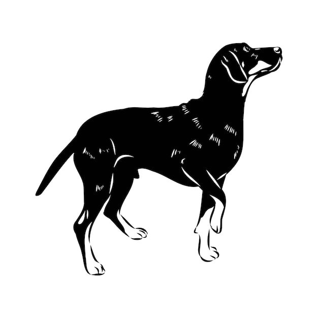 Austrian black and tan hound austrian brandlbracke vector