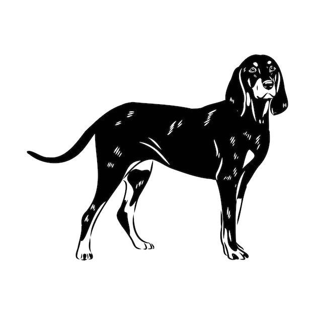 Austrian black and tan hound austrian brandlbracke vector