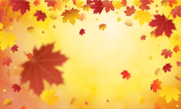 Autumn falling leaves background