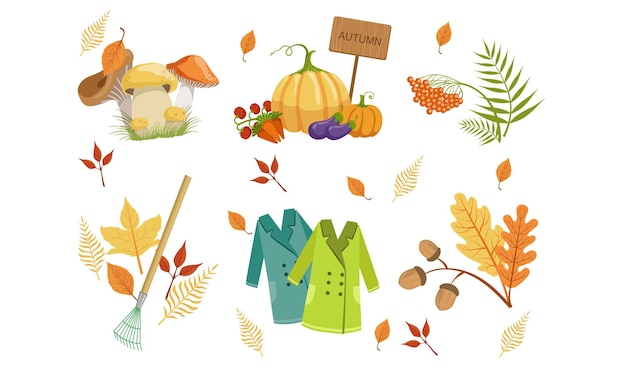 Autumn Season Objects Collection Autumnal Design Elements Mushrooms Vegetables Mountain Ash Leaves Rake Raincoats Vector Illustration