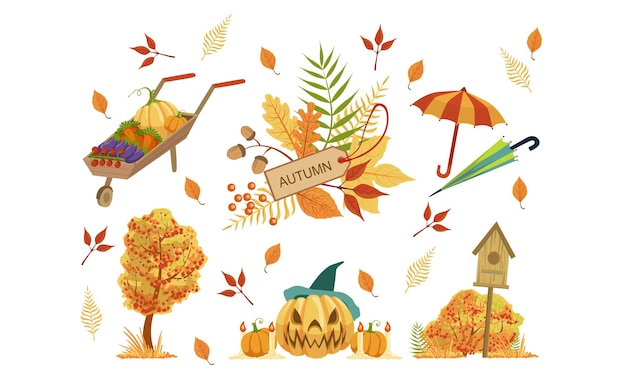 Autumn Season Objects Collection Autumnal Design Elements Wheelbarrow with Vegetables Halloween Pumpkin Colorful Tree Leaves Umbrella Vector Illustration