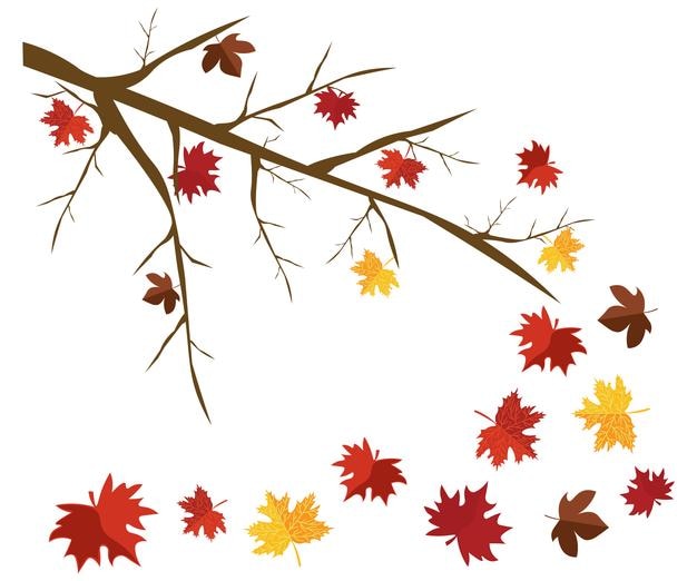 autumn set