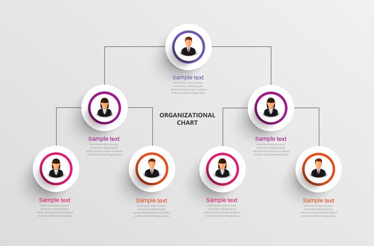 Vektör avatar simgeleriyle iş hiyerarşisi infografik organizasyon şeması