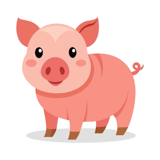 baby pig animal flat vector illustration