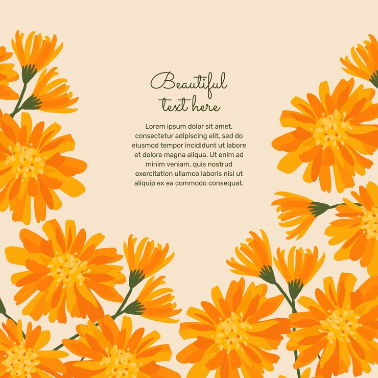 Vektör background with blooming calendula and place for text