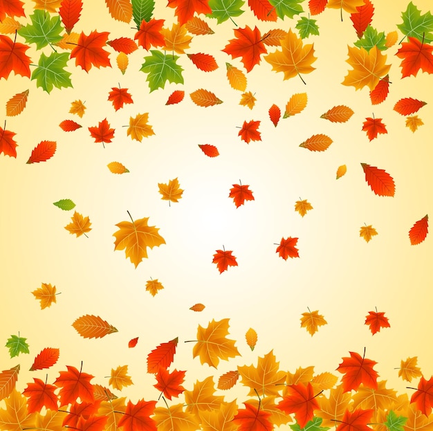 Background with maple autumn leaves