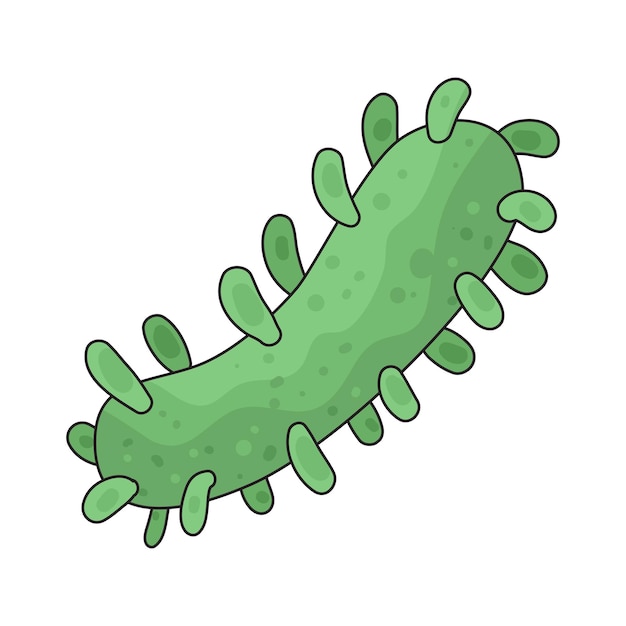 bacteria