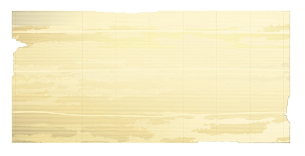 bamboo background