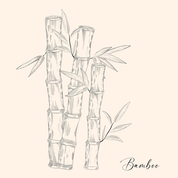 Bamboo icon tropical jungle forest logo with tree trunk and leaves silhouettes of japanese