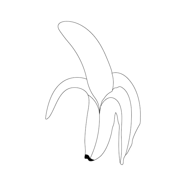 Banana line art vector illustration coloring page hand drawn