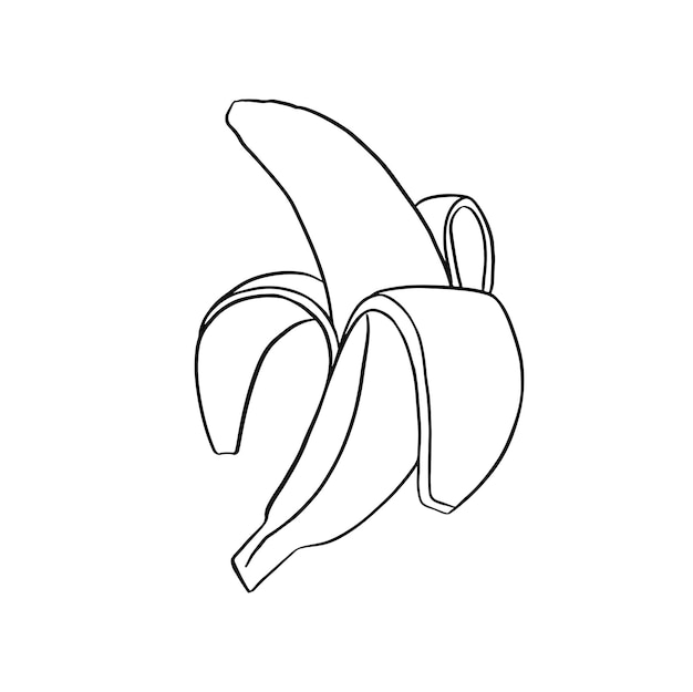 banana peeled fruit line hand drawn illustration vector