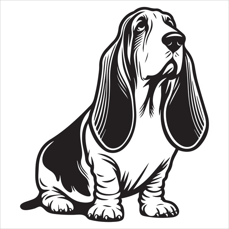 Vektör basset hound dog outline vector illustration