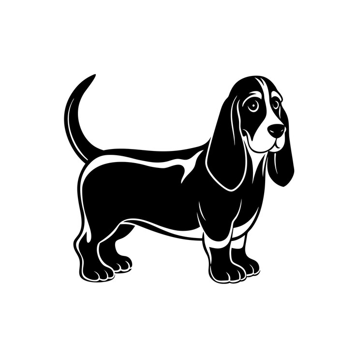 Vektör basset hound dog silhouette vector illustration
