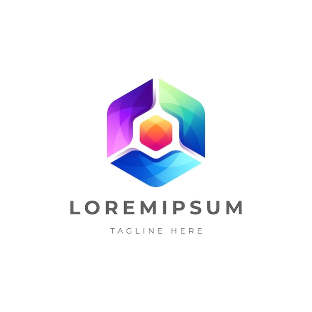 beautiful colorful hexagonal logo