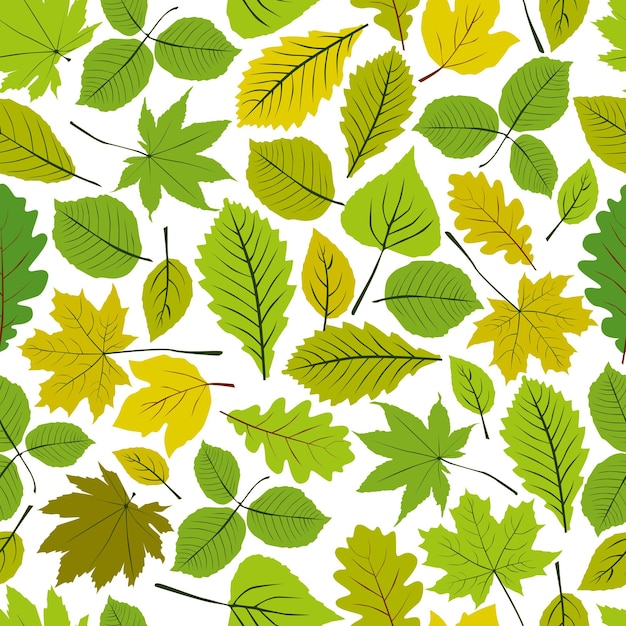 Beautiful leaves seamless pattern, vector natural endless background, spring background.