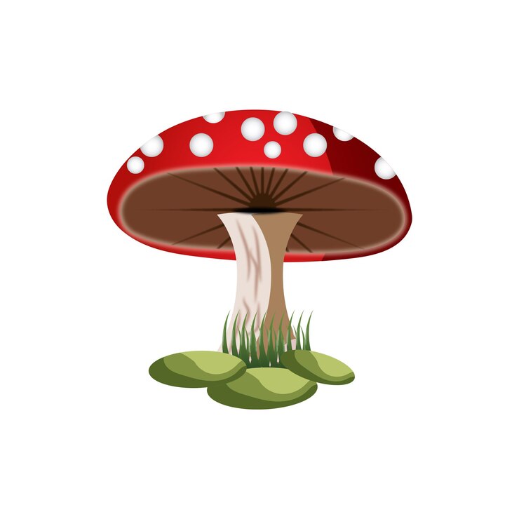 Vektör beautiful red mashroom t shirt design