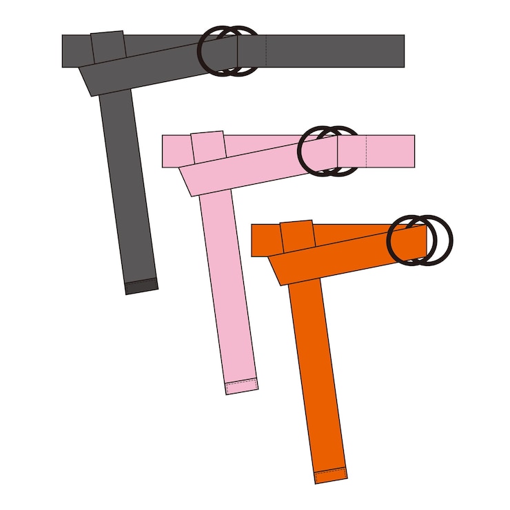 Vektör belts with drings technical drawing color variations