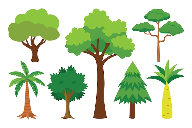 Best rainforest tree flat vector set illustration