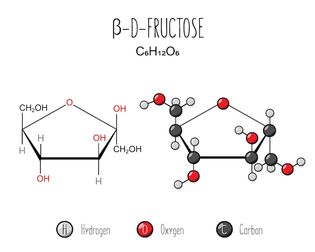Beta fructose representation Skeletal formula and 2d structure illustration Web style illustration Vector editable