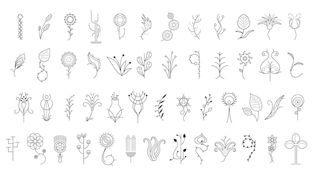 Big Abstract Set Doodle Hand Drawn Collection Botanic Herbal Flora Leaf Branch Vine Flowe Plants