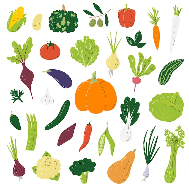Big collection with different vegetables Harvest season hand drawn flat vector illustration isolated