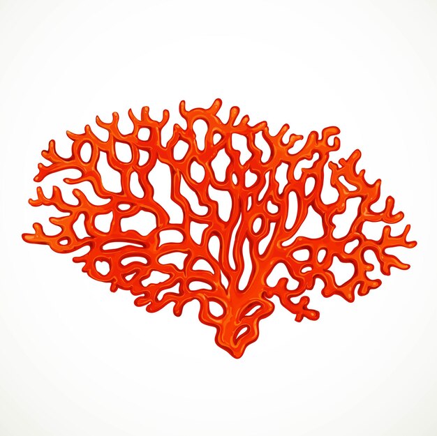 Big red corals sea life object isolated on white background