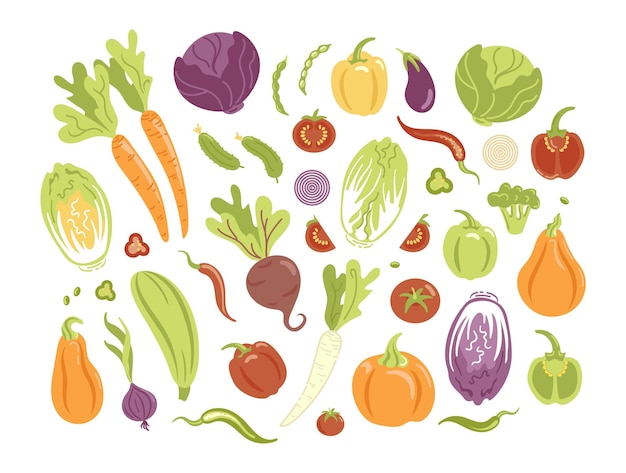 Big set of vegetables in flat style Various fresh vegetarian products agriculture design elements Harvesting Healthy lifestyle For stickers posters design elements