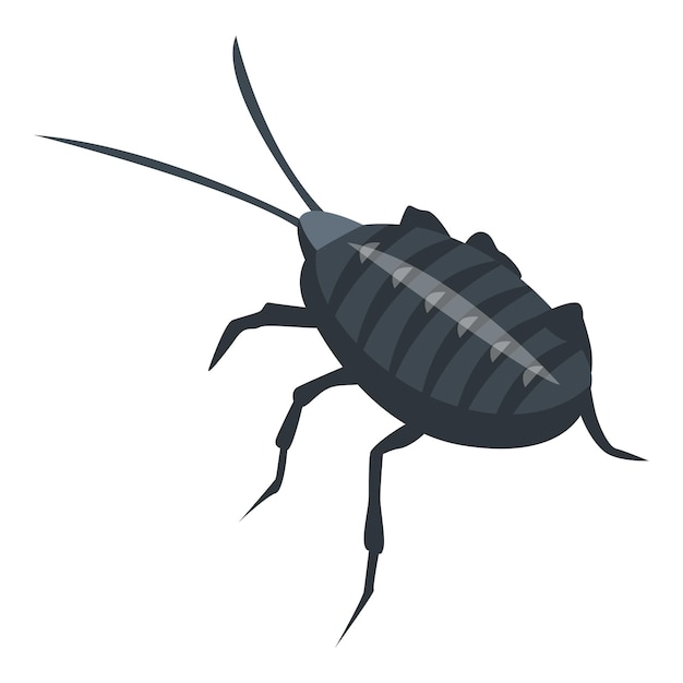 Biology cockroach icon Isometric of biology cockroach vector icon for web design isolated on white background