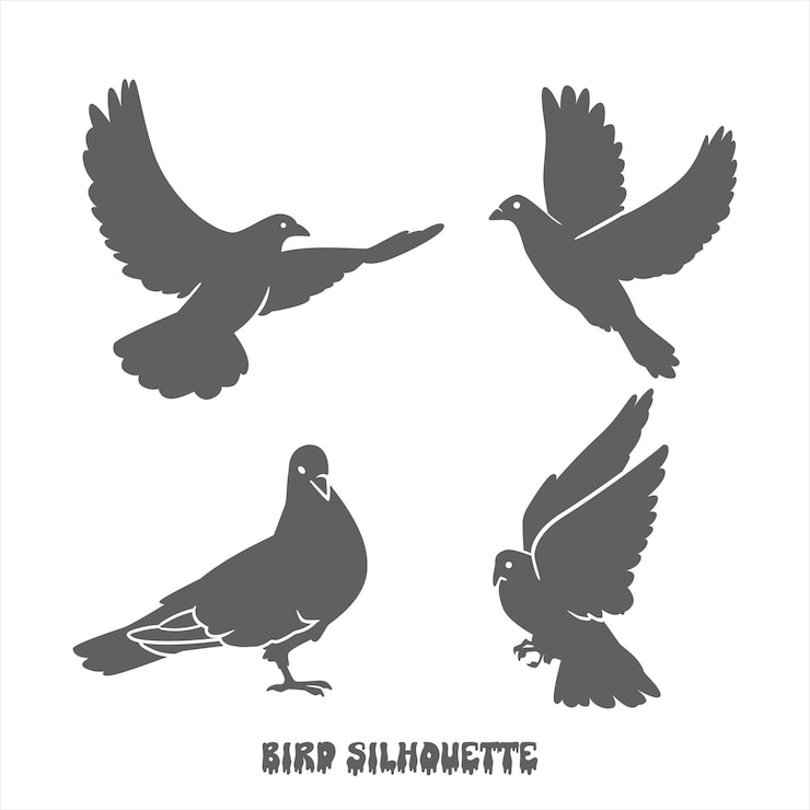 Vektör bird flying silhouette collection bird pack and set